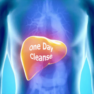 One Day Cleanse
