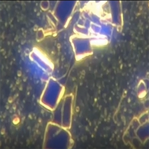 The Antidote For GO, Nanotec & Hydrogels