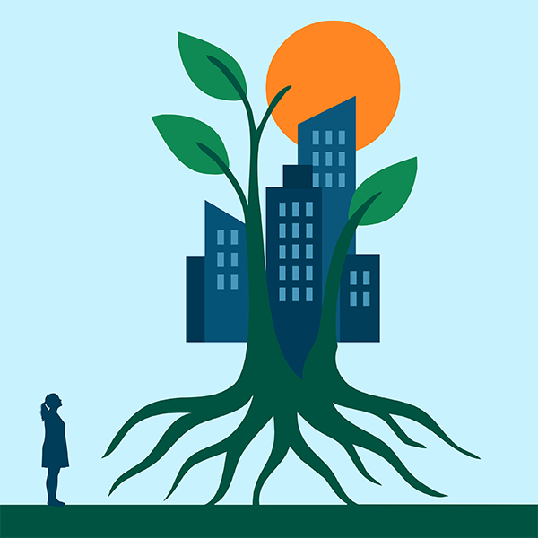 External Environment